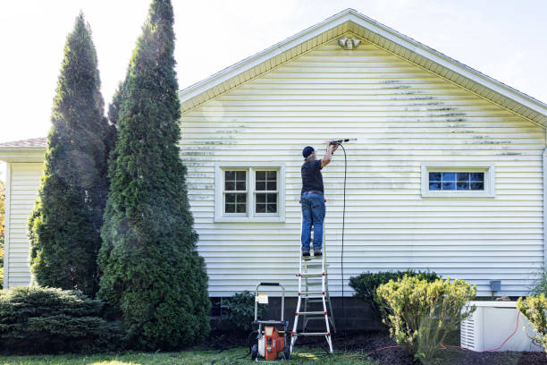 Best Driveway Pressure Washing  in El Rio, CA